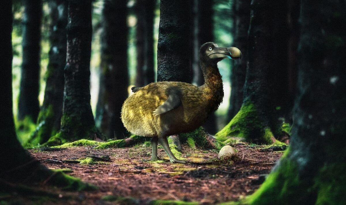 De-Extinction Company Colossal Biosciences Raises $150 Million To Bring Back The Dodo​